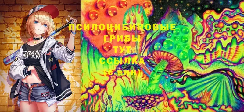 Псилоцибиновые грибы Cubensis Кызыл